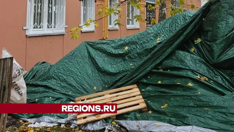 Фото предоставлено жительницей Жуковского