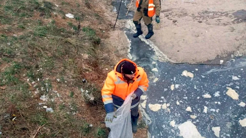 Фото: администрация Одинцовского городского округа