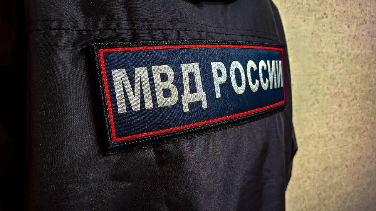 Страшная находка не подтвердилась: чью голову достали спасатели из Мойки в Санкт-Петербурге