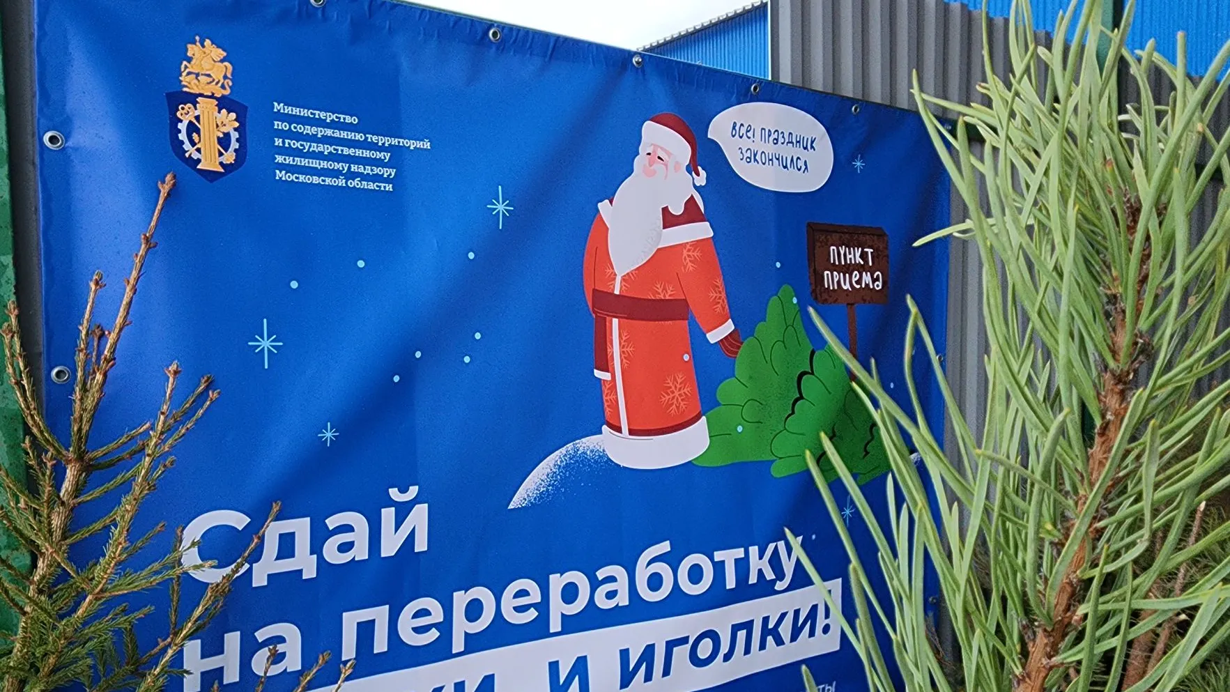 Фото: МедиаБанк Подмосковья/Валерия Тингаева
