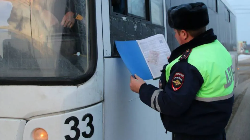 фото: Госавтоинспекция по Московской области