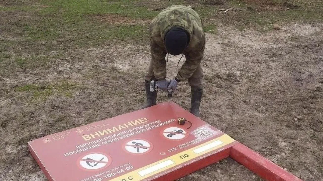В Подмосковье выполнен значительный объем работ по противопожарному обустройству лесов