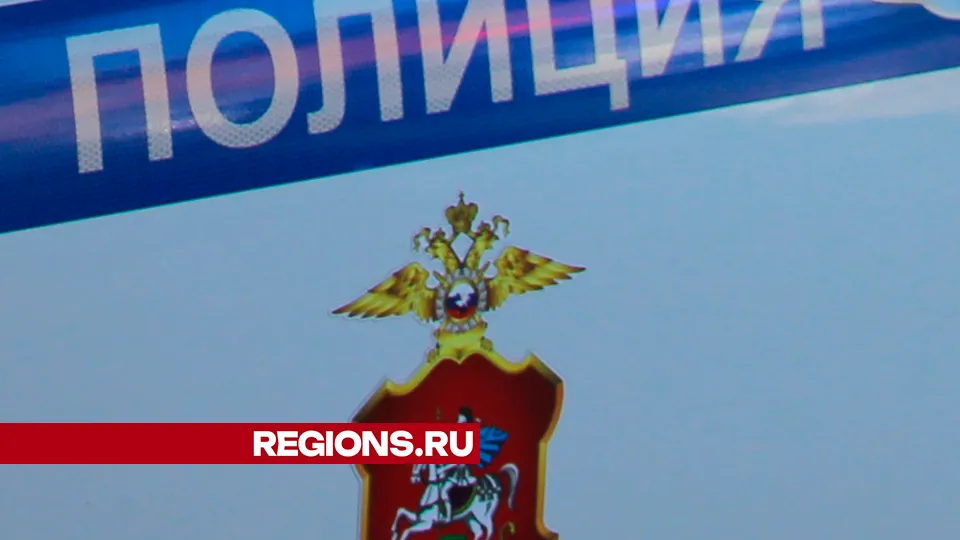 Фото: REGIONS/Василий Тремасов