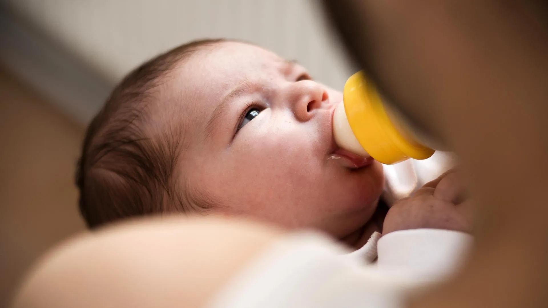 feed the baby