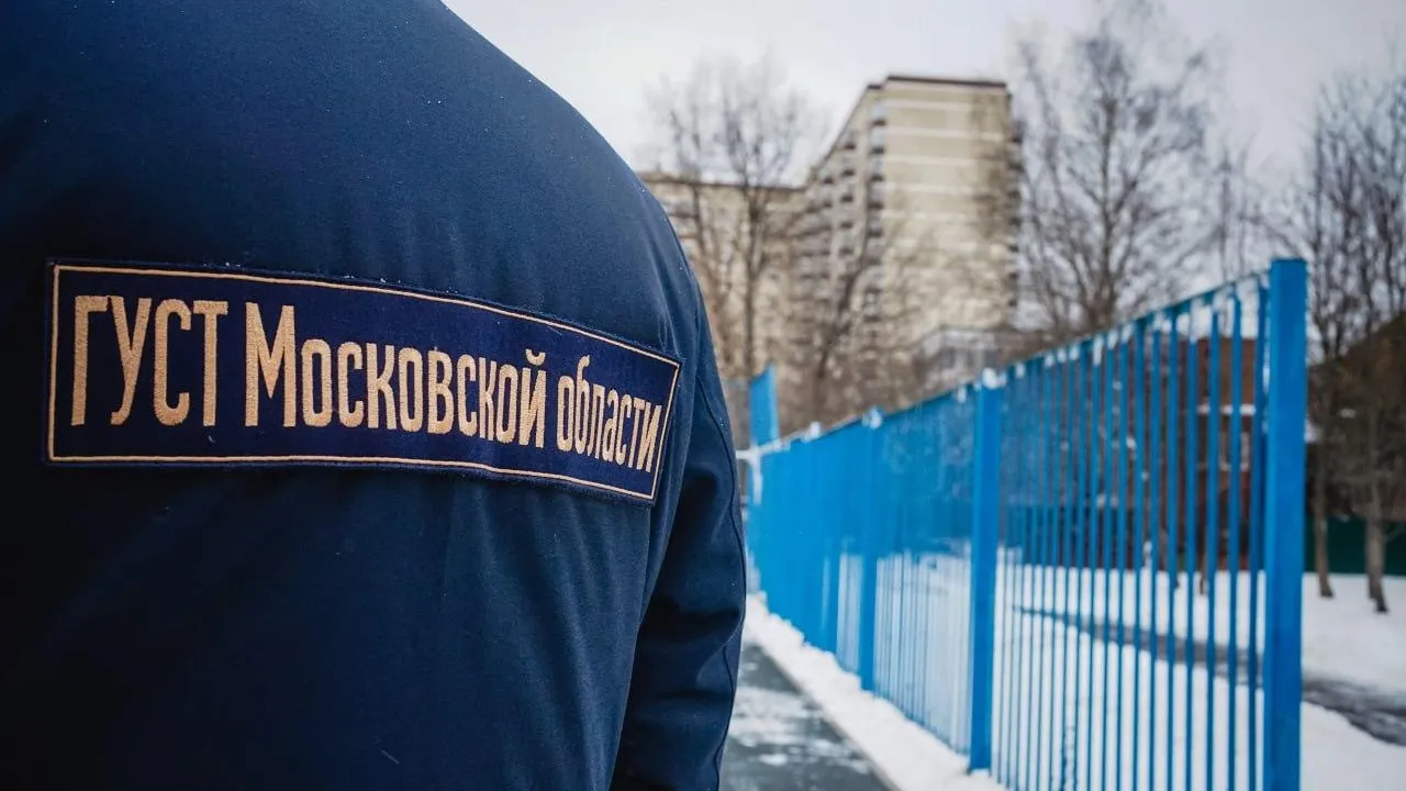 фото: ГУСТ МО