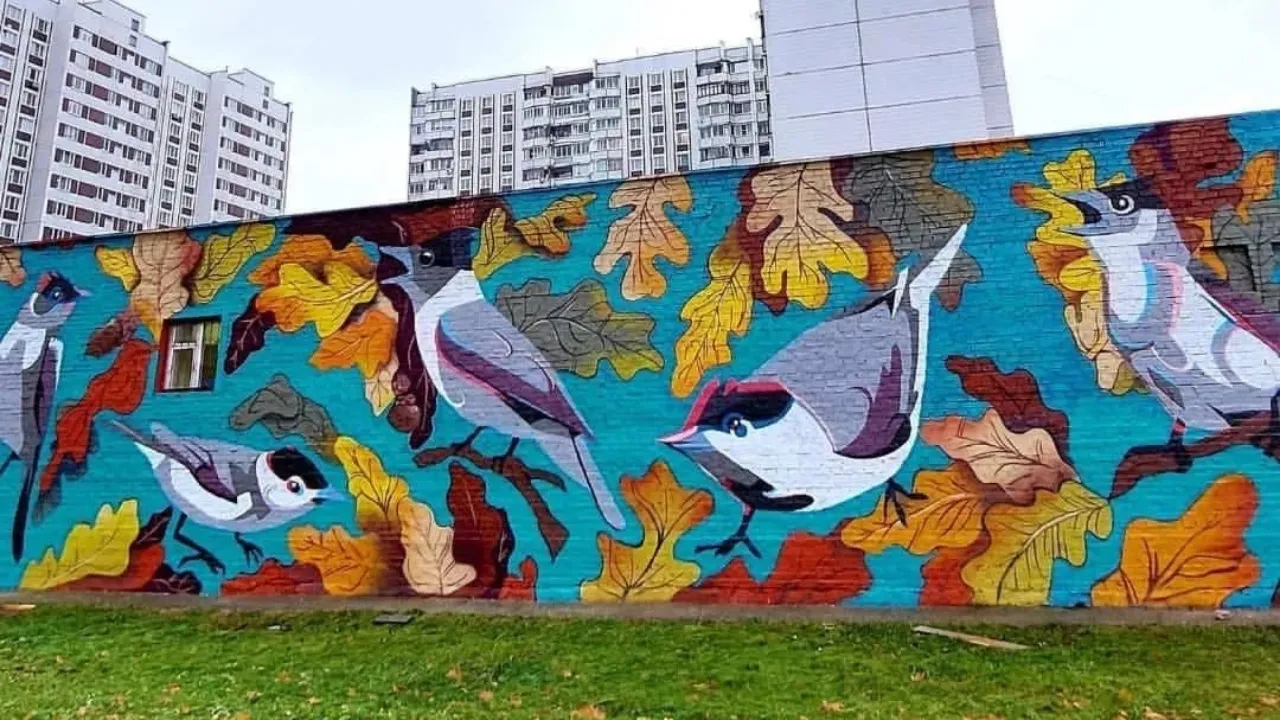 Картинка