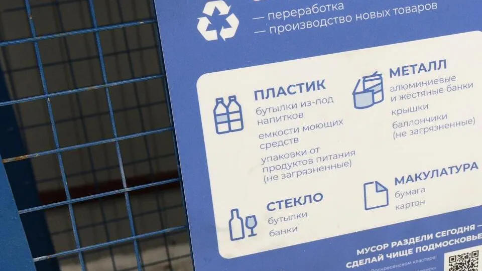Фото: Медиаархив Подмосковья