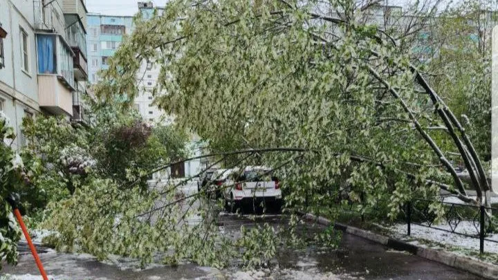 Фото: администрация г.о. Краснознаменск