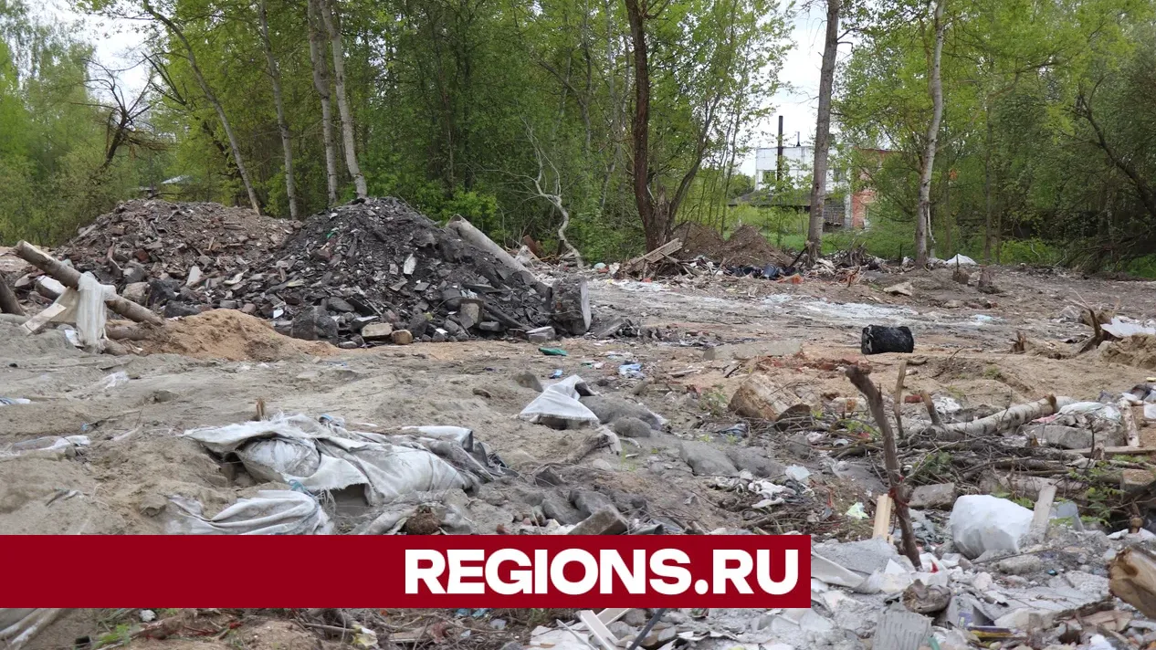 Фото: Regions / Василий Тремасов