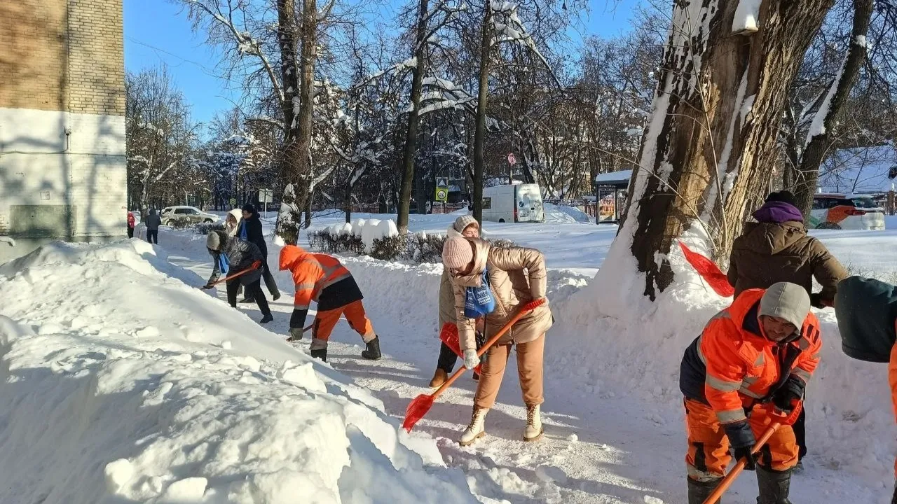 Картинка