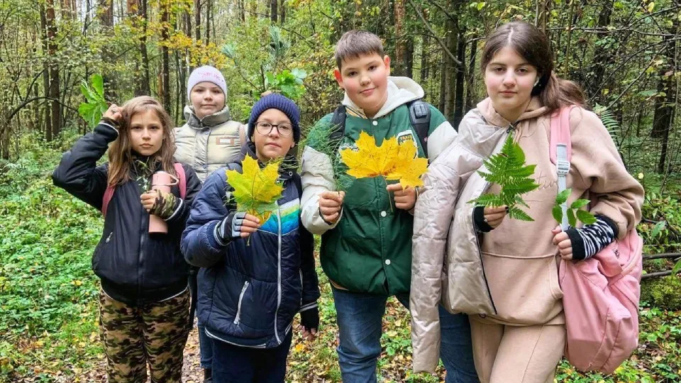 Фото: Комитет лесного хозяйства Московской области