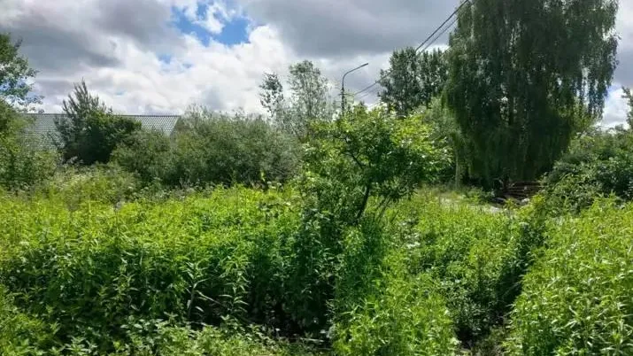 В Подмосковье прошли почти 100 земельно-имущественных аукционов