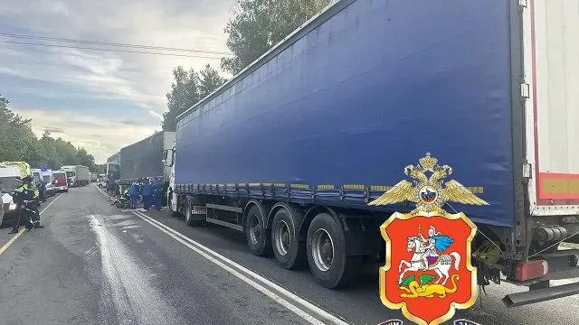 телеграм-канал полиции Подмосковья