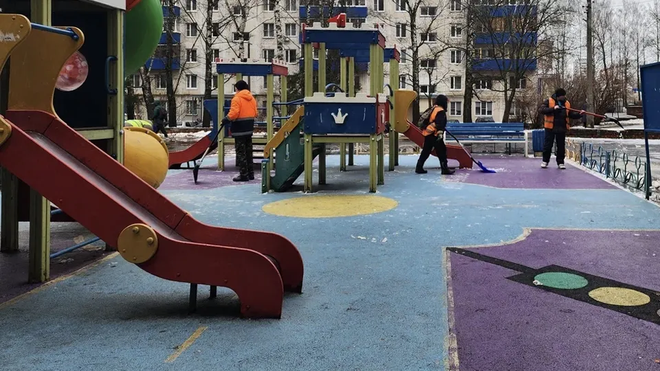 Фото: пресс-служба губернатора и правительства Московской области
