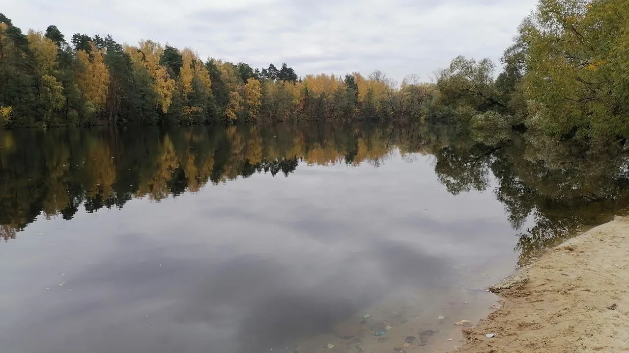 Фото: Наталья Дорофеева