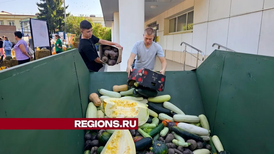 Фото: REGIONS/Александр Дрожжин