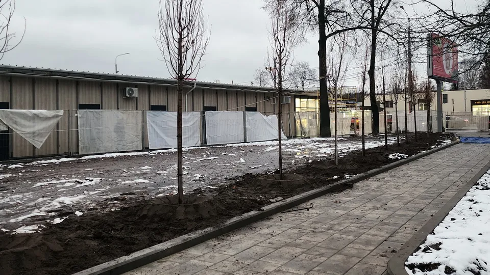 Фото: МедиаБанк Подмосковья/Ольга Аввакумова