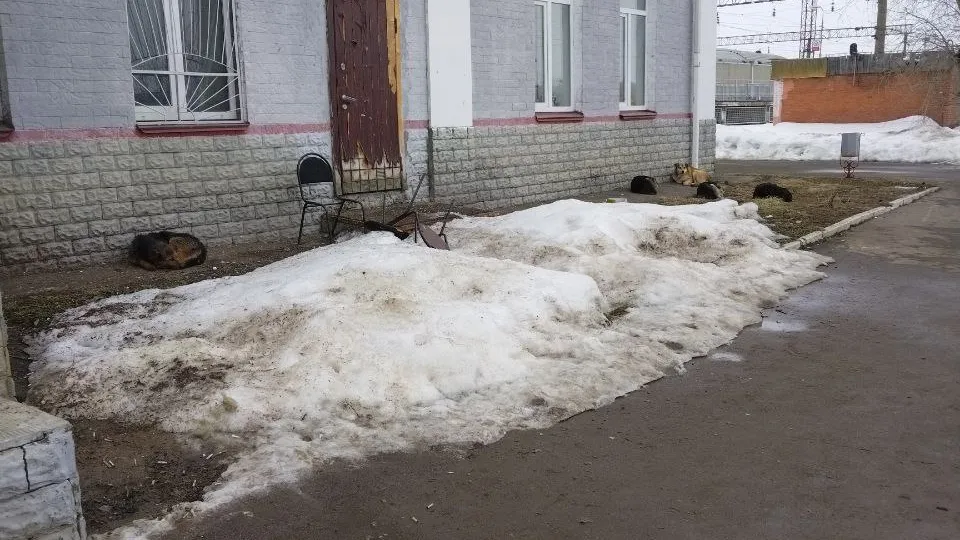 Юлия Шатохина
