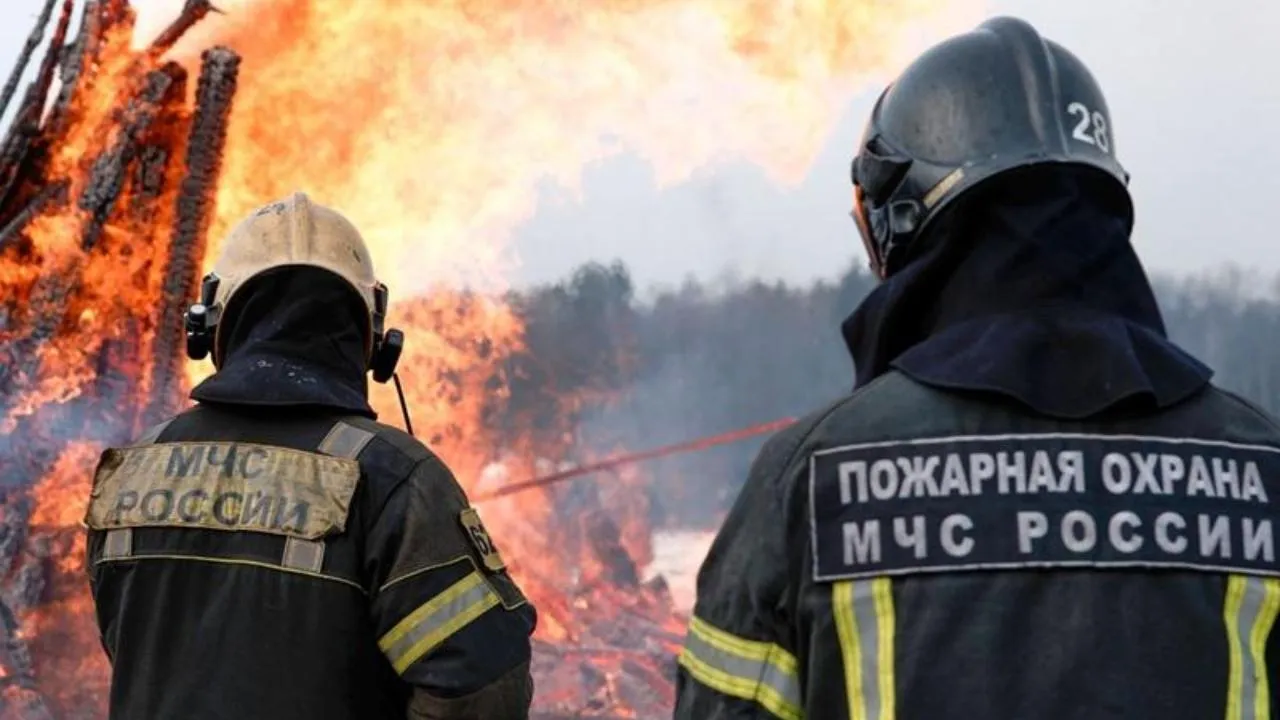 Минэкологии Московской области напоминает: на заповедных территориях открытый огонь запрещен