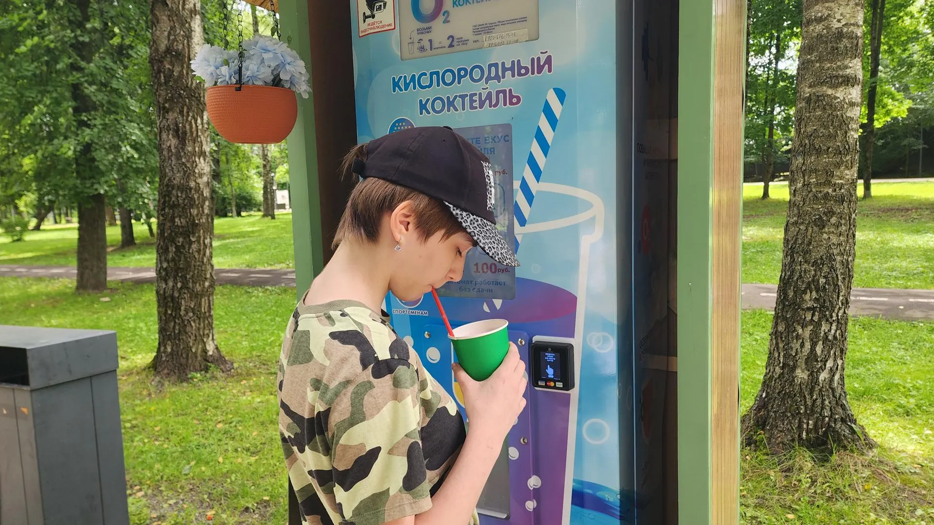 Картинка