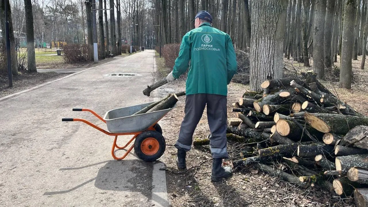 Подготовка к летнему сезону стартовала в парках Подмосковья