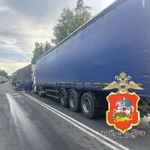 телеграм-канал полиции Подмосковья