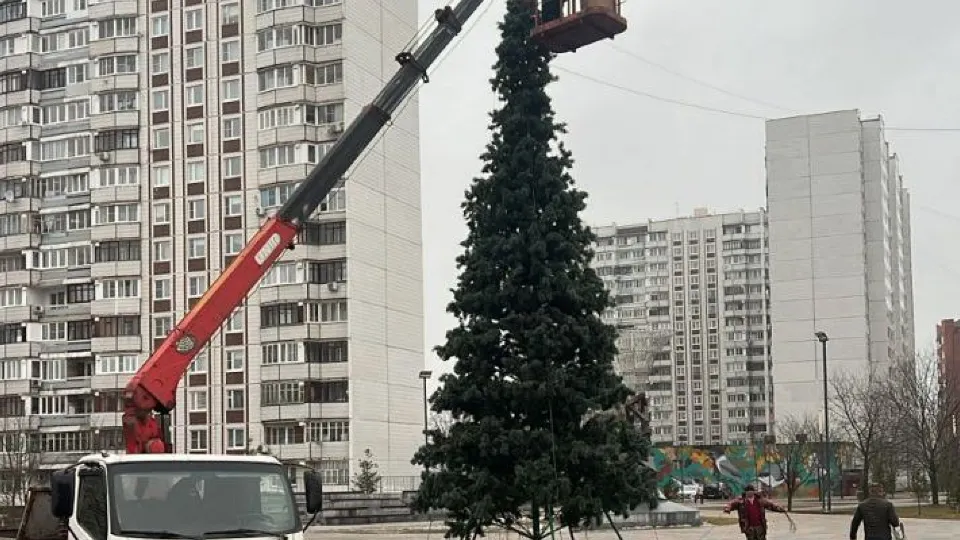 Фото: пресс-служба администрации г.о. Черноголовка