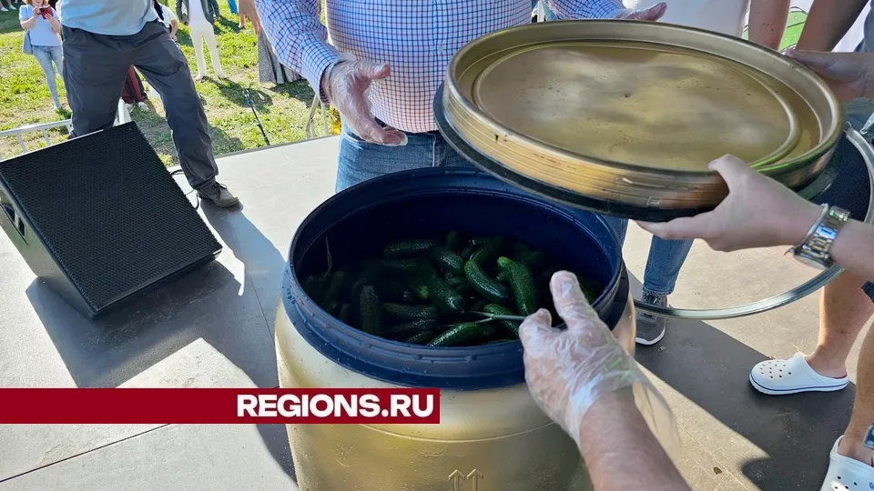 Фото: REGIONS/Александр Дрожжин