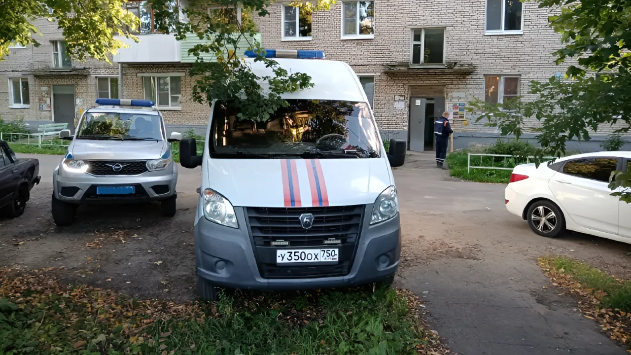 Картинка