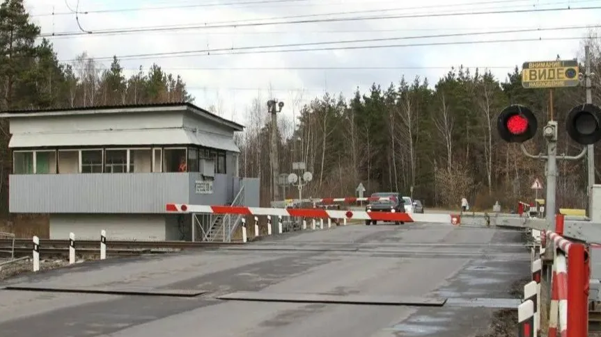 фото: министерство транспорта и дорожной инфраструктуры Московской области