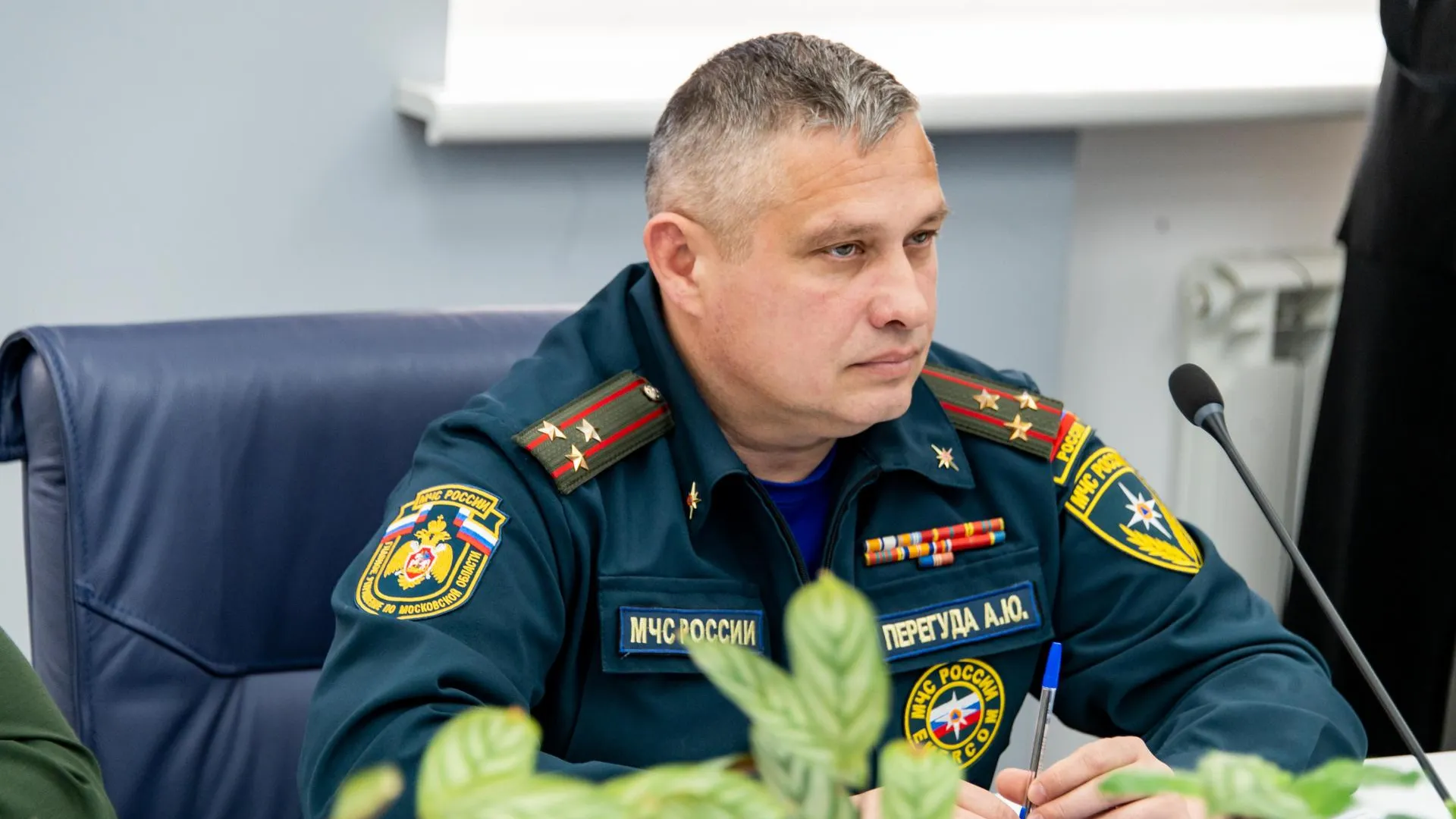 Фото: Комитет лесного хозяйства Московской области