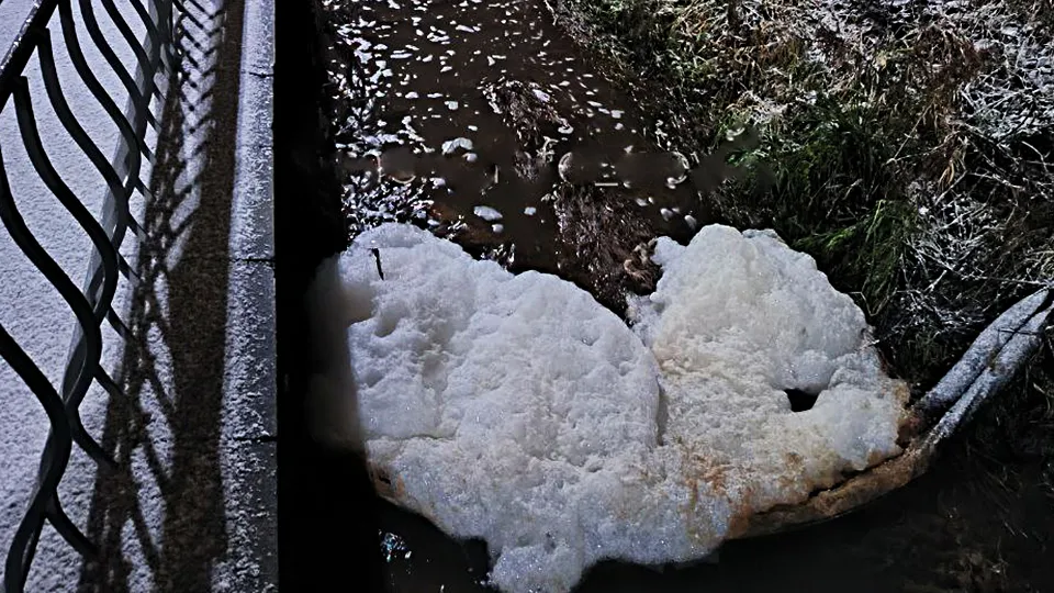 Фото: REGIONS