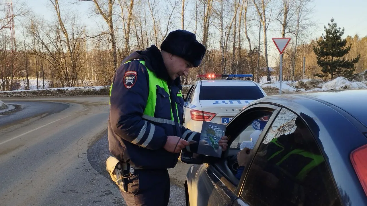 Фото: ОМВД России по Рузскому городскому округу