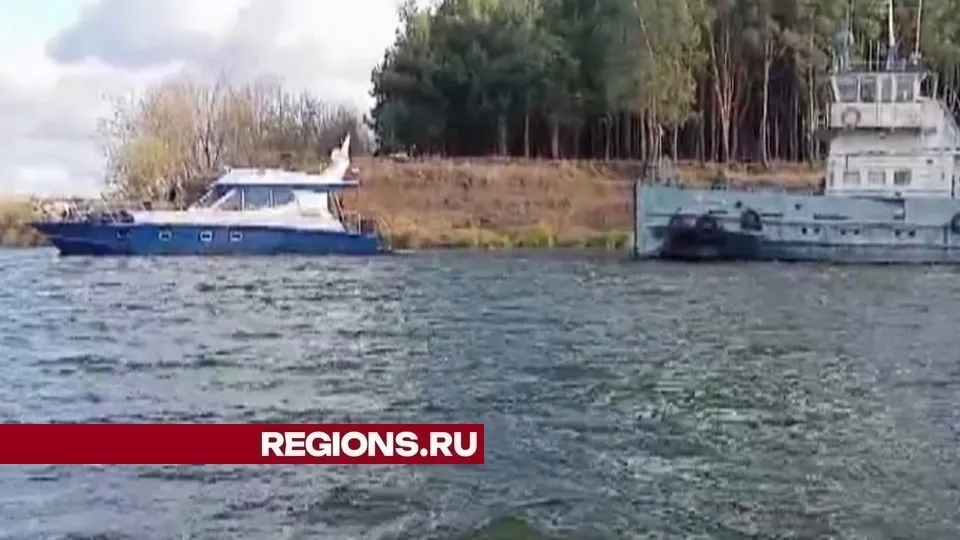 Фото: REGIONS/Александр Дрожжин