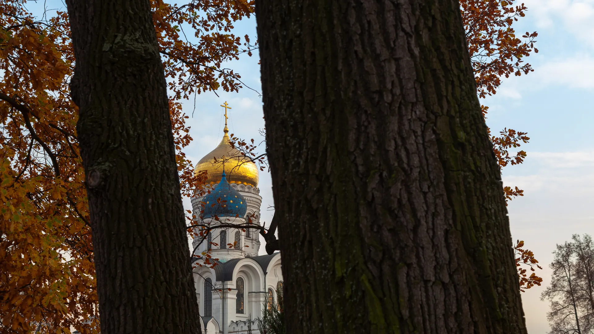 осенние виды Николо-Угрешского монастыря города  Дзержинский округа Люберцы
