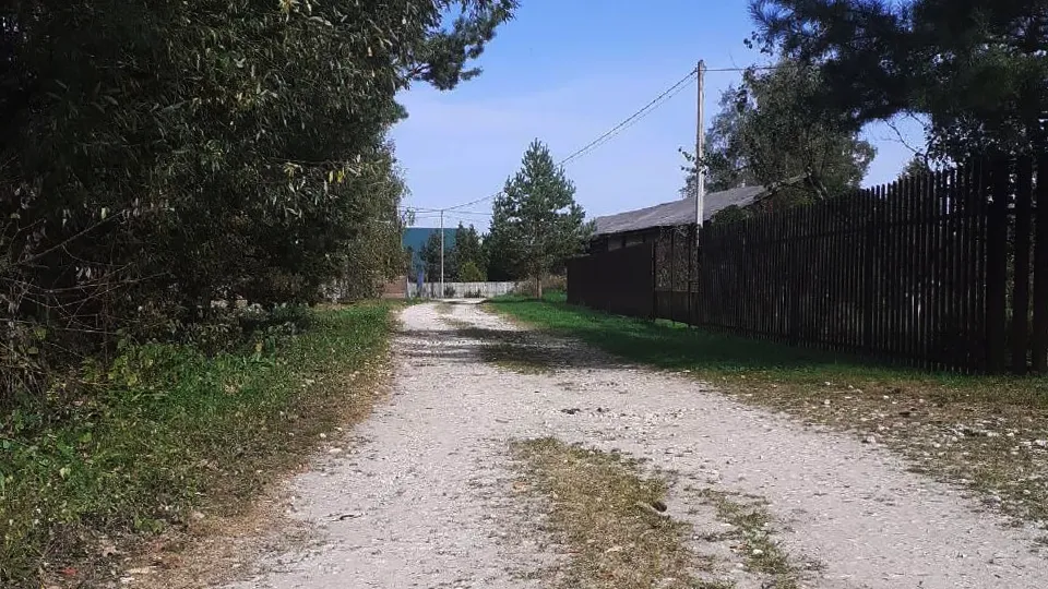 Фото: Администрация городского округа Лотошино