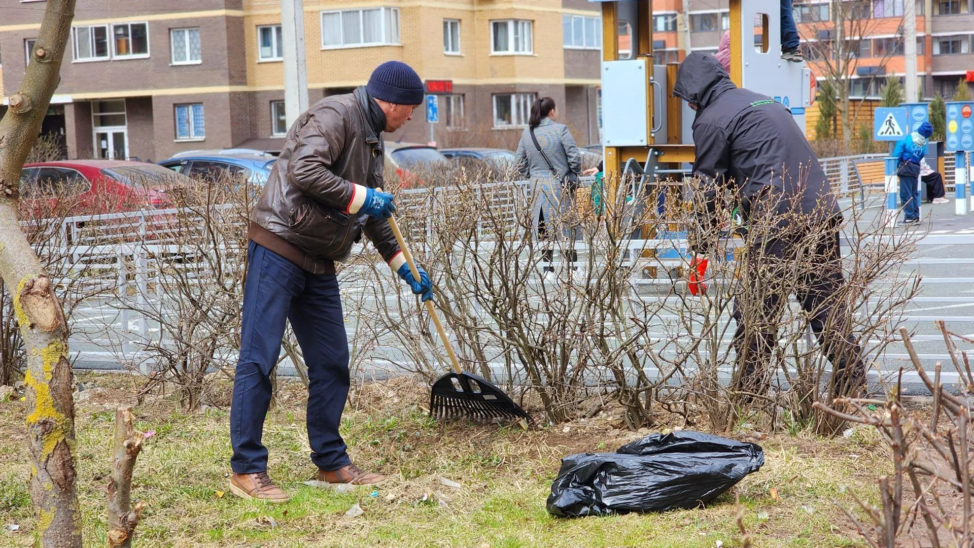 Картинка