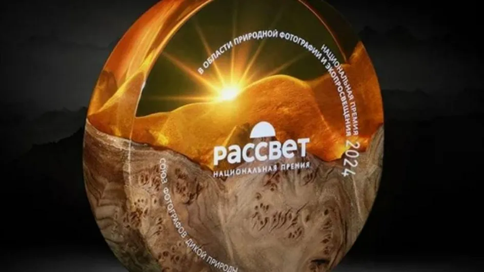 Фото: оргкомитет Национальной премии «Рассвет»