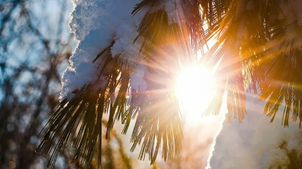 фото:.freepik.com