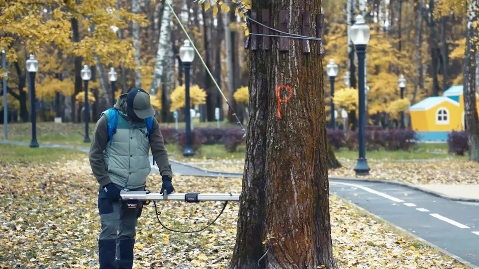 Фото: пресс-служба администрации г.о. Кашира