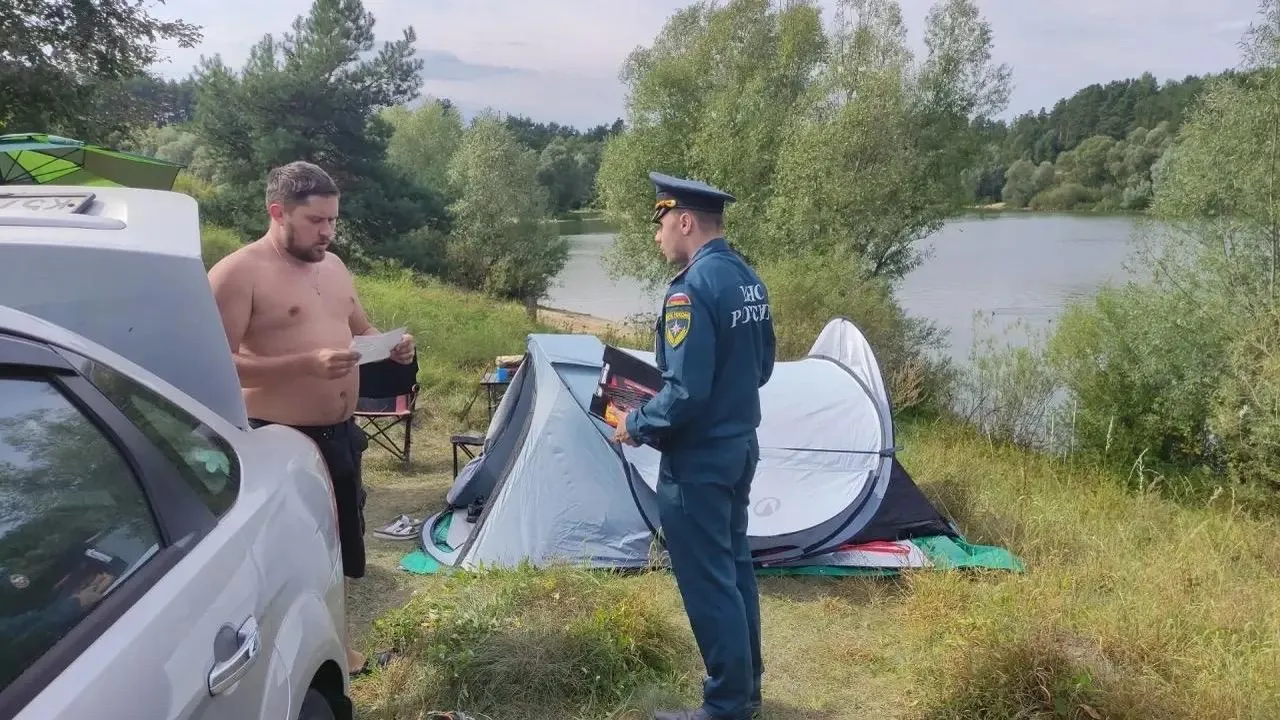 Картинка