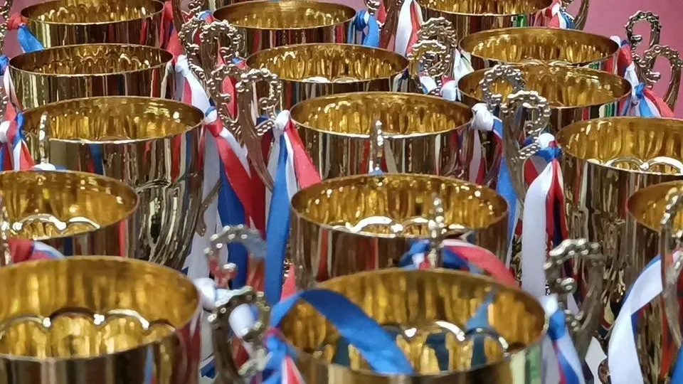 Фото: МедиаБанк Подмосковья/Екатерина Федосеева