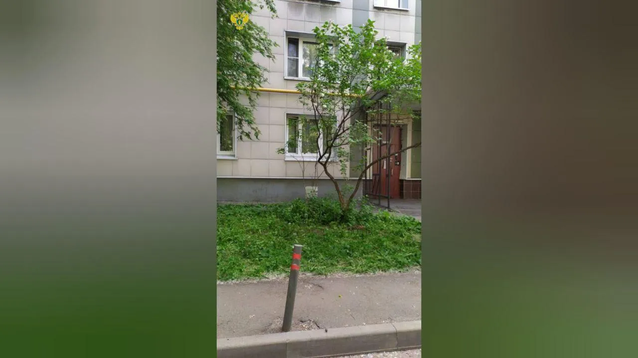 Пресс-служба прокуратуры Москвы
