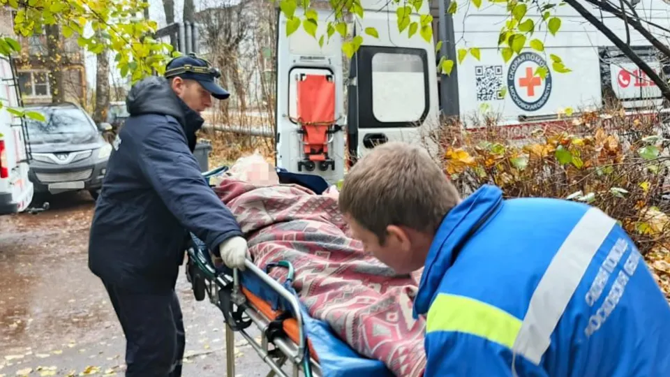 Картинка