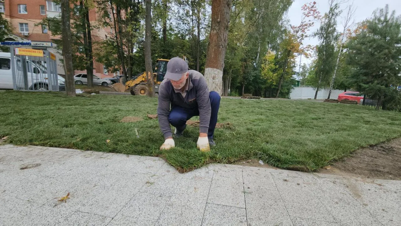 Картинка