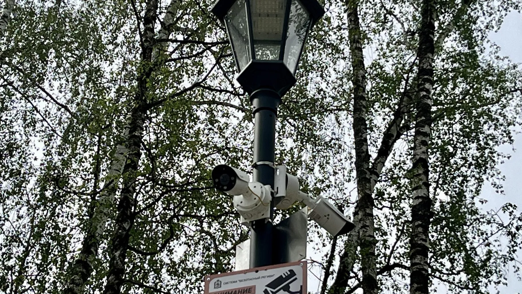 Фото: Анна Тюрюмина&nbsp;&nbsp;