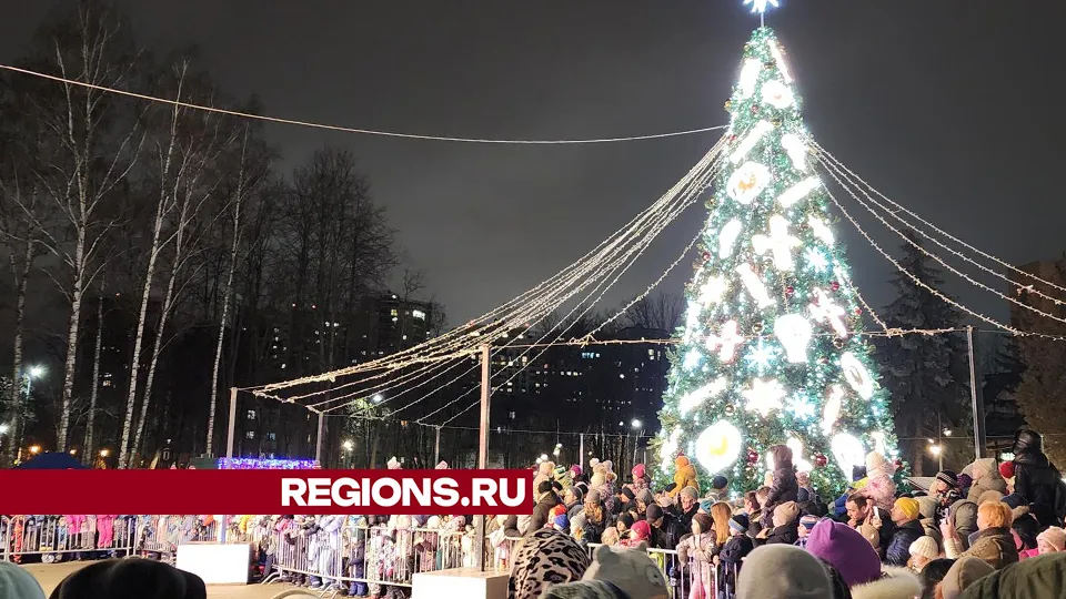 Фото: Ольга Шеметова