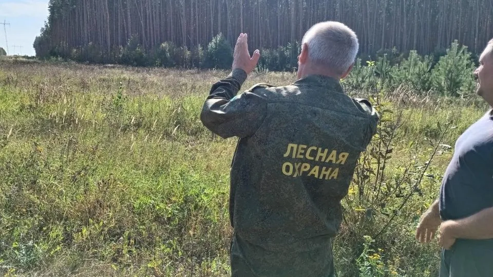 Фото: Комитет лесного хозяйства Московской области