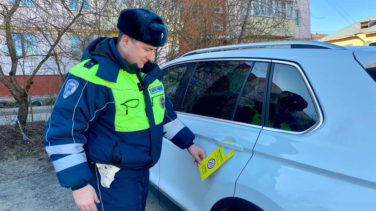 Фото:  Госавтоинспекция Можайского городскому округа