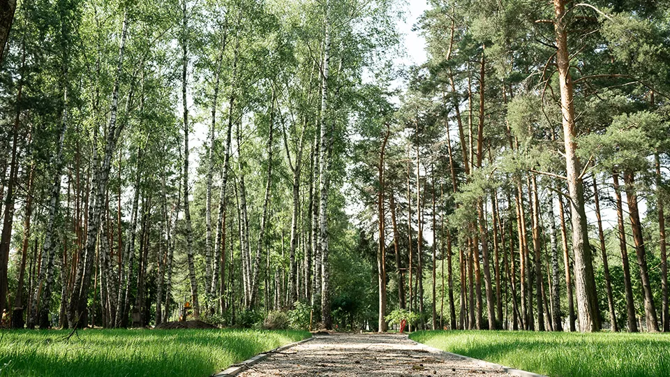 Летний парк Малаховка. Фото: пресс-служба губернатора и правительства Московской области